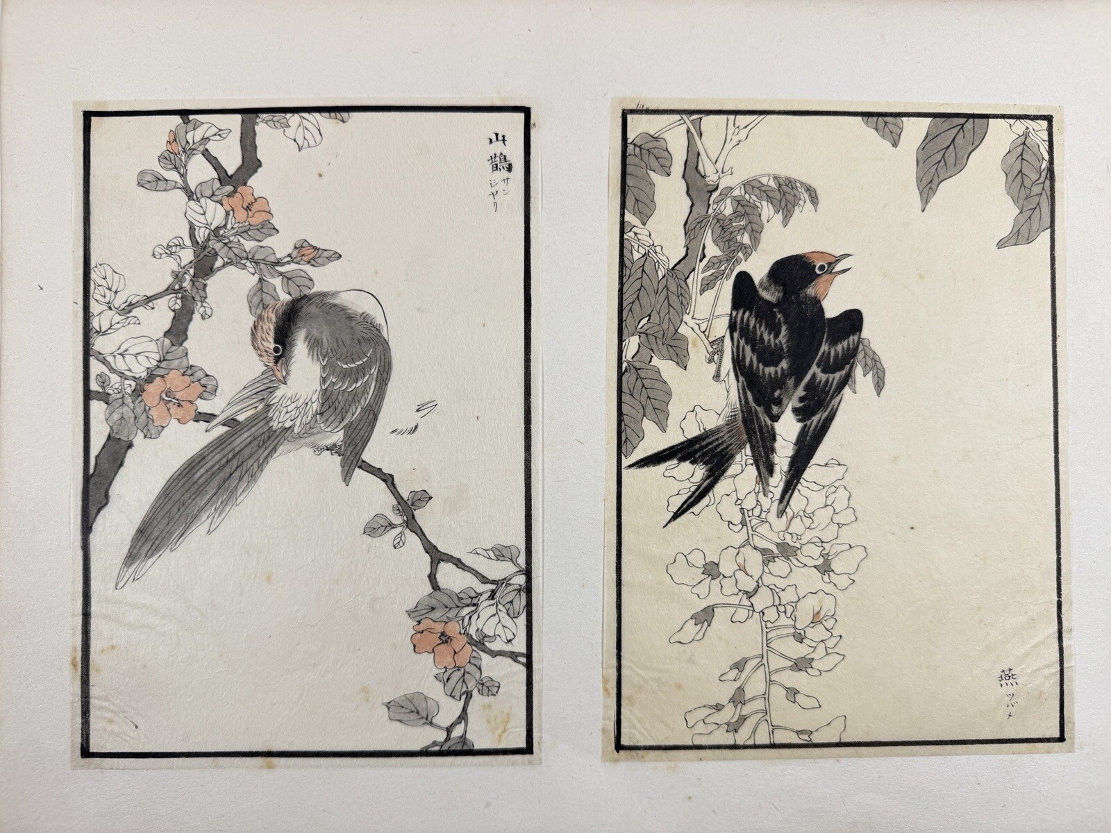 Japanese Drawing Book “Kachoshu” Picture of birds and flowers 49 illustration