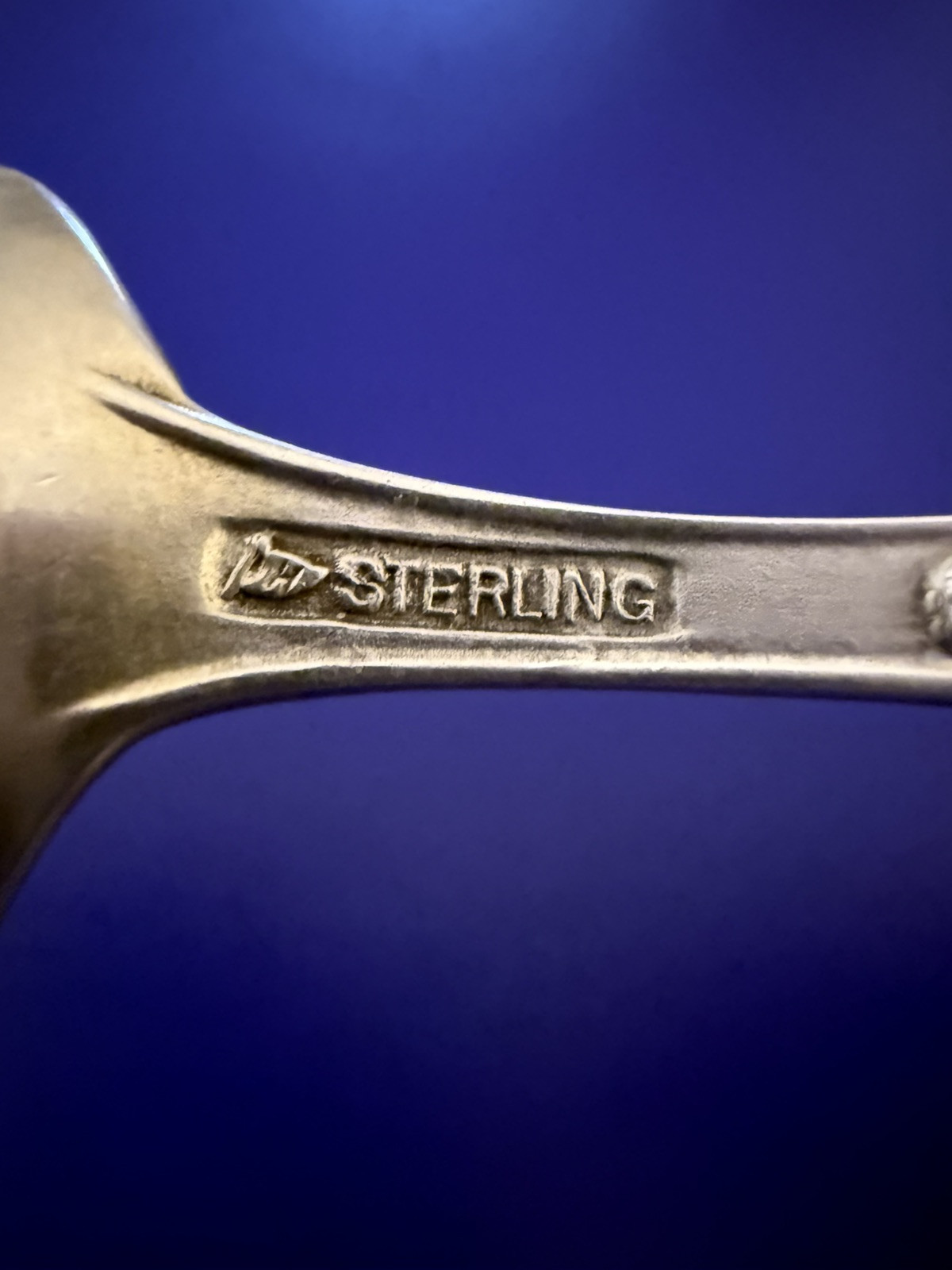 Historical SOUVENIR SPOON Jacksonville Florida STERLING SILVER Alligator Palm