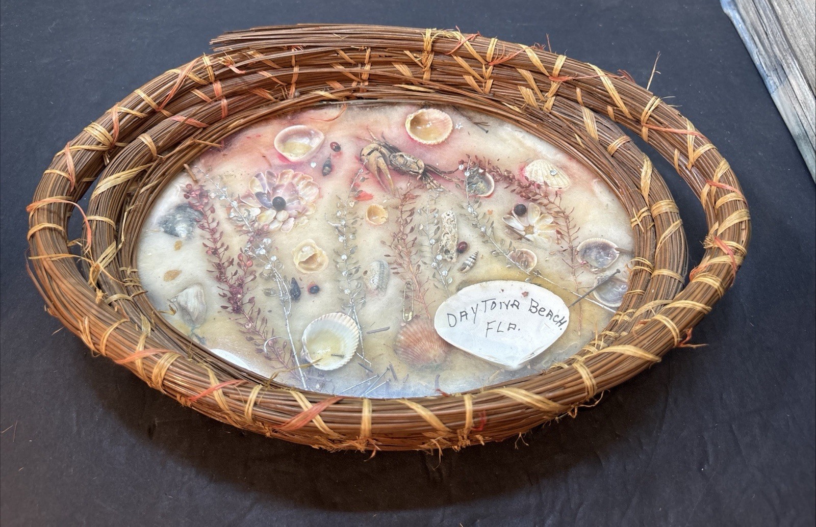 Vintage Folk Art Pine Needle Tray Primitive Summer Beach Sea Shells 7X11”