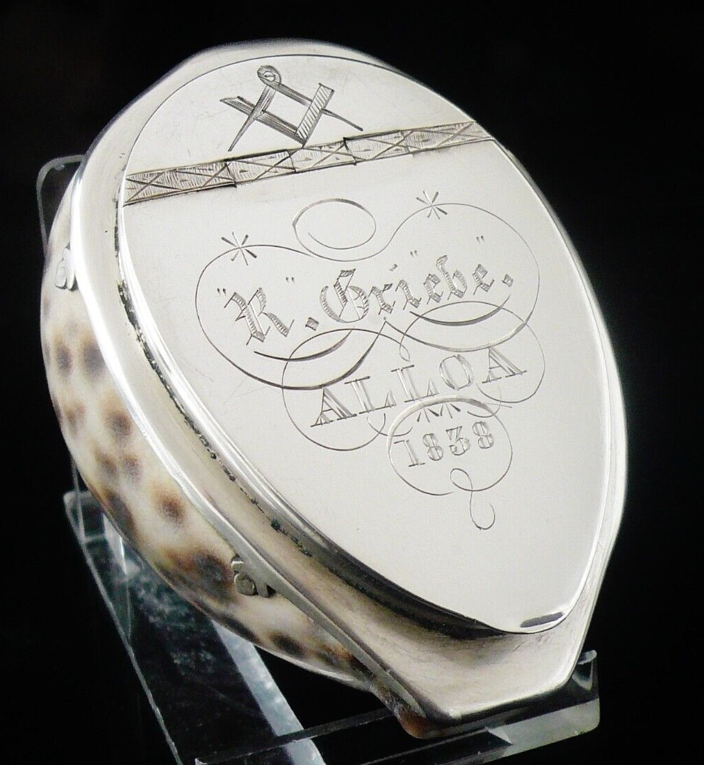 Scottish Provincial Silver MASONIC Cowrie Shell Snuff Box c.1838