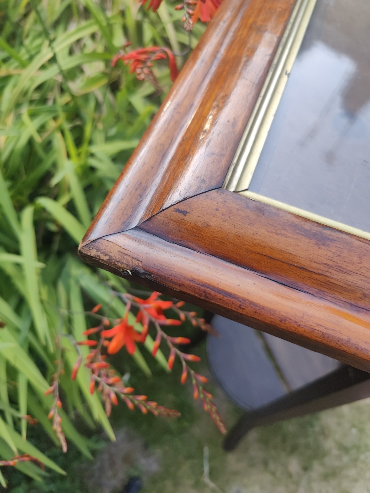 Bird’s Eye Maple Frame C.1870 44.5 X 37cm, View 24.5 X 32cm, Gilt Slip
