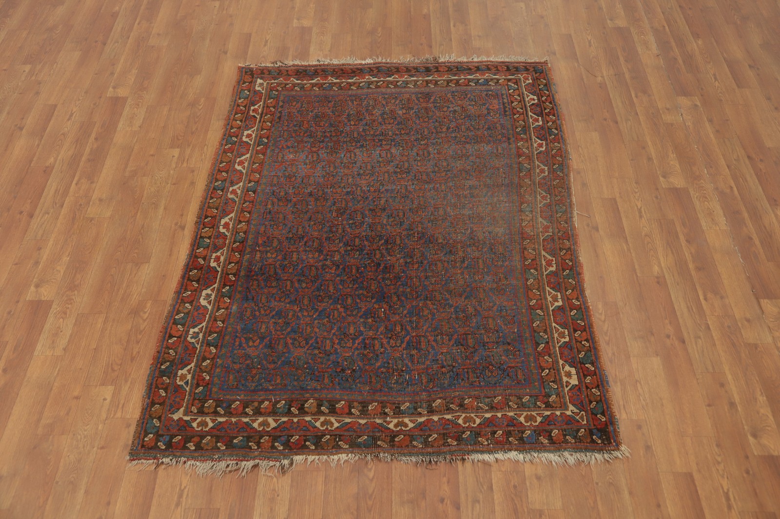 Pre-1900 Antique Vegetable Dye All-Over Pattern Rug 4×6 ft Hand-knotted Wool