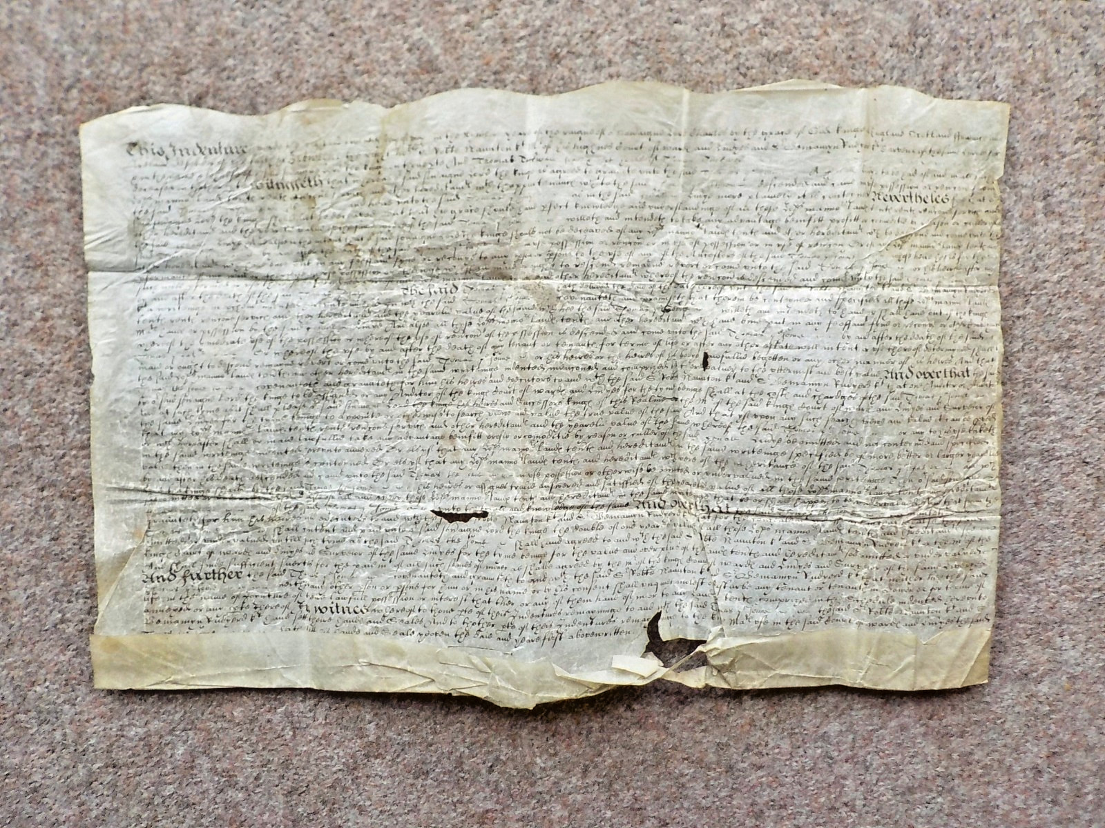 1634 very scarce Vellum Indenture Document Court of Wards and Liveries *damage