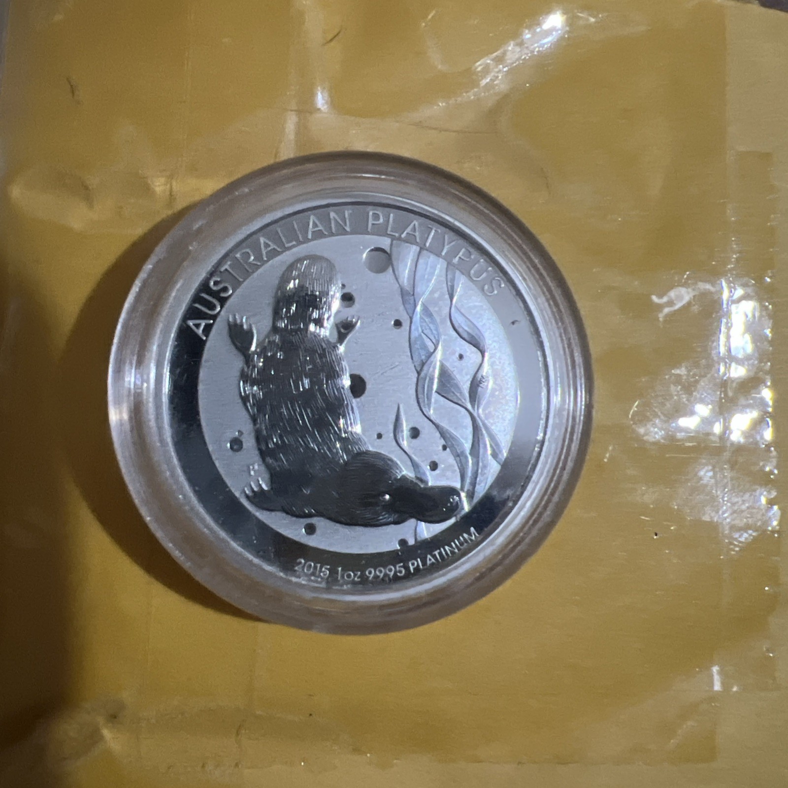 2015 Australia Perth mint one ounce platinum coin. Rare platypus. BU in cap.