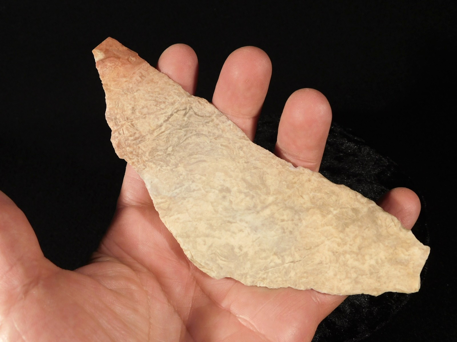 HUGE! RARE Four Thousand Year Old! Tenerian Uniface Stone ARTIFACT Mali 114gr
