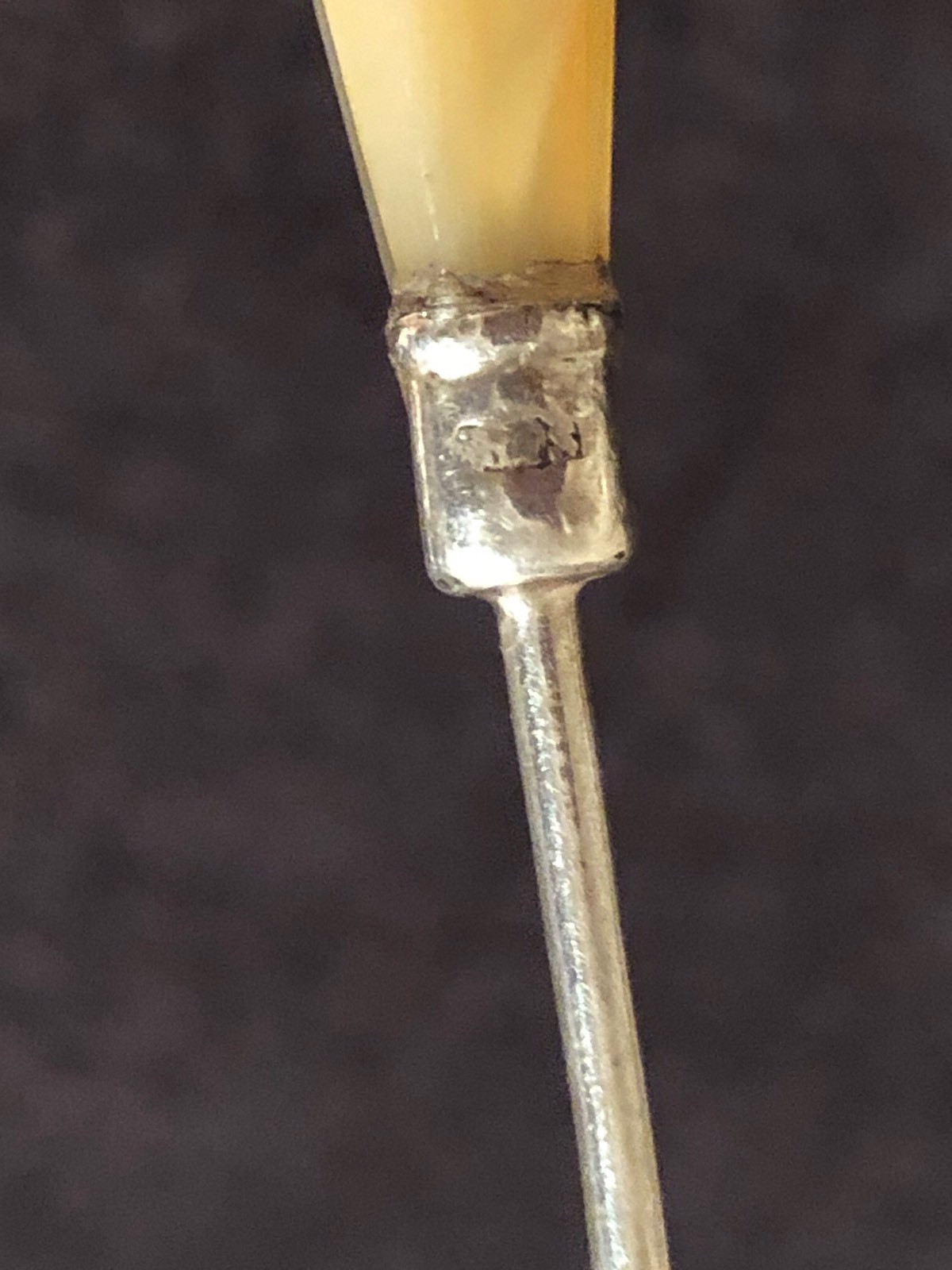 Victorian Sterling Silver Button Hook With Scottish Agate Handle #ET