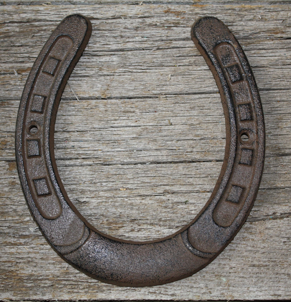 Cast Iron Lucky Horseshoe Rustic Ranch Western Home Decor 5 1/2 x 6.5 in TEXAS