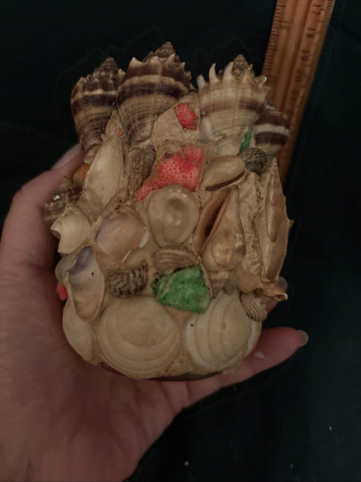 VTG Antique Seashell Shell Folk Art Sailors Valentine Vase 4”