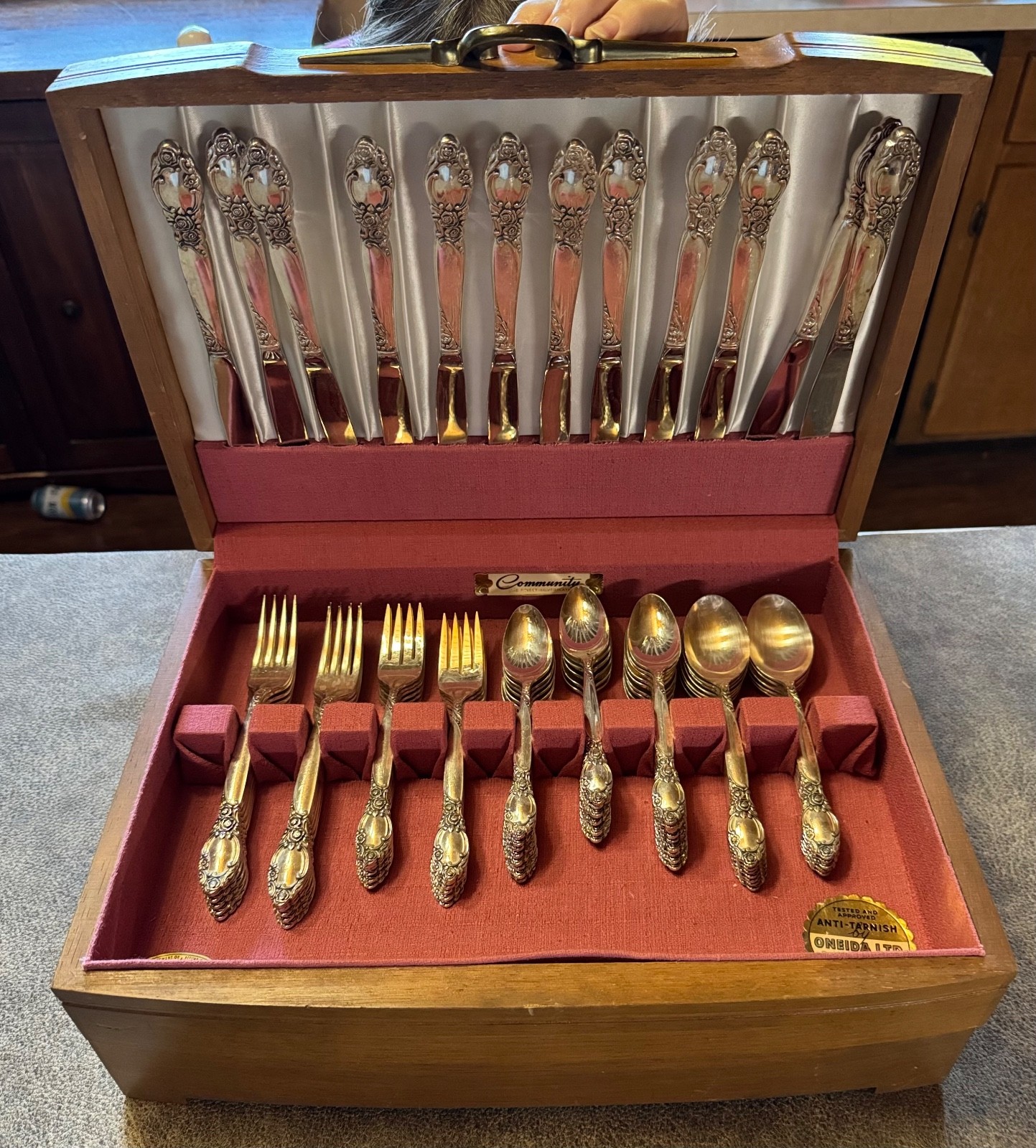 Community SILVER PLATE flatware BALLAD COUNTRY LANE plus chest srv 12 76 pcs