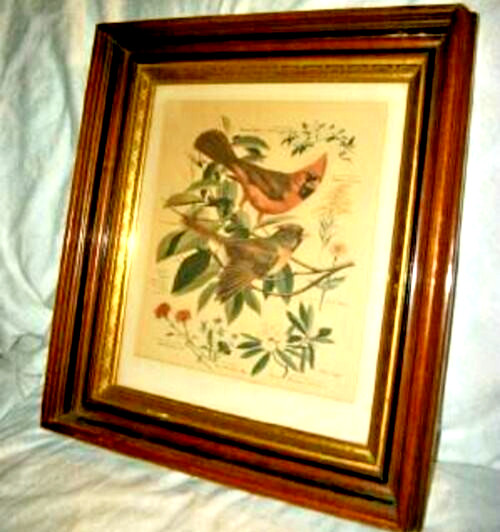 Victorian Eastlake Aesthetic Wood Gilt Frame Deep Bird Print England 1890s Nice