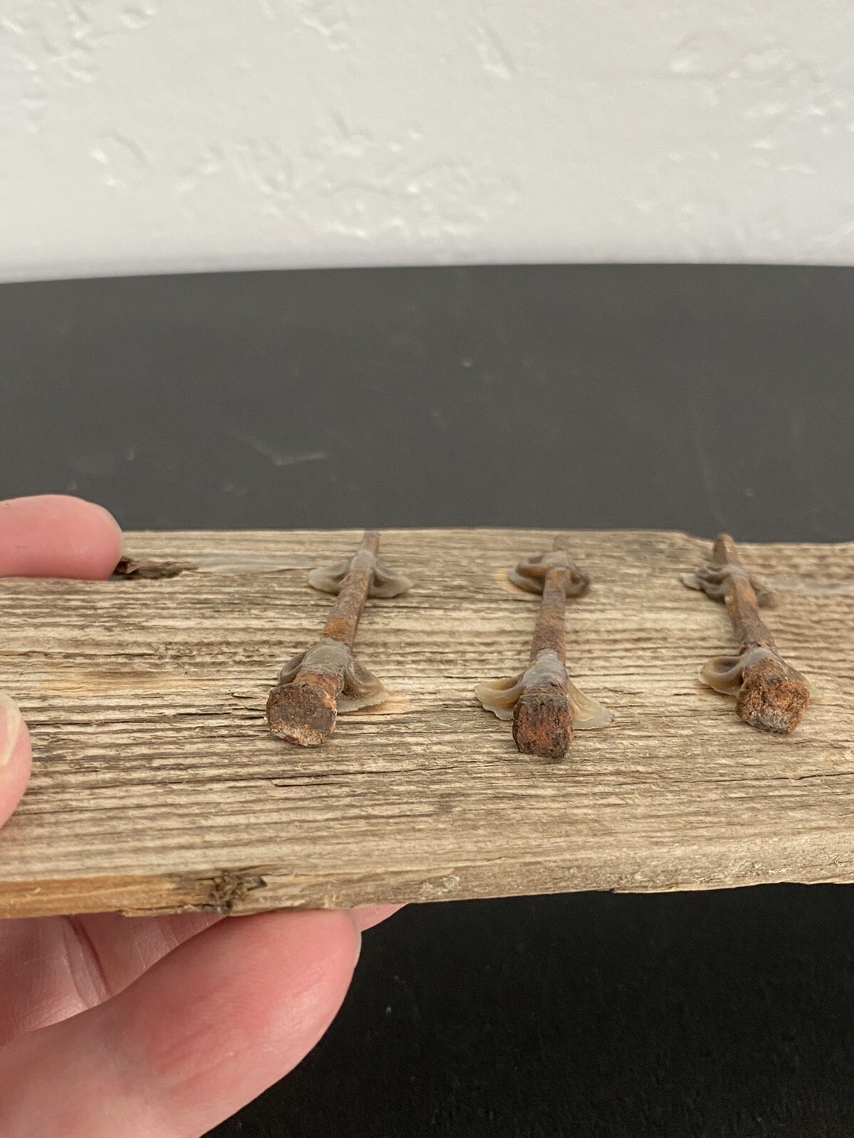 Original 1800’s Antique Square Nails and Wood Piece Art Decor Collector piece
