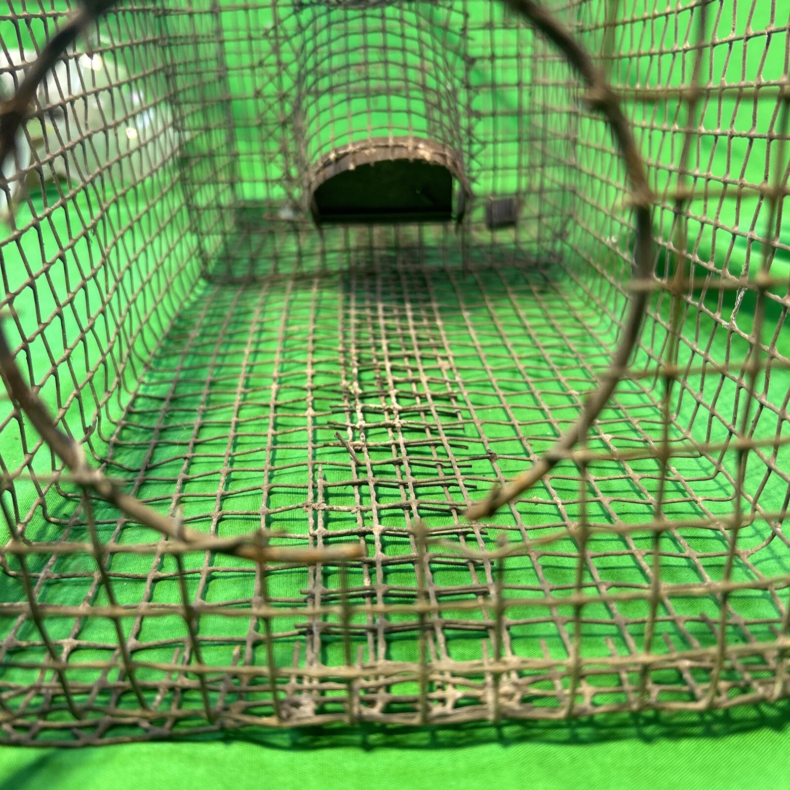 Vintage 8″ x 18″ Metal Wire Small Live Animal Bait Carry Cage Old