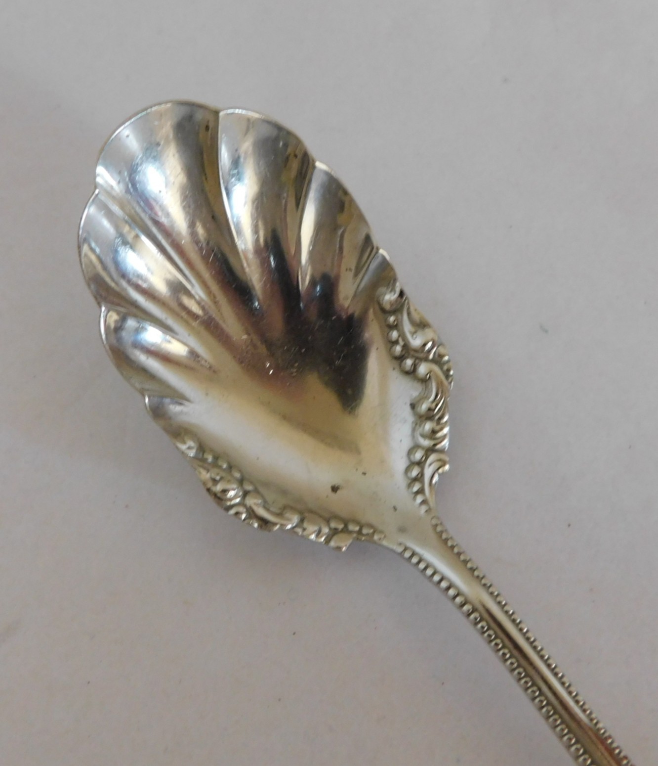 Linden aka Eudora Pattern Serving Spoon- WM A Rogers Silver Plate (#CH204)