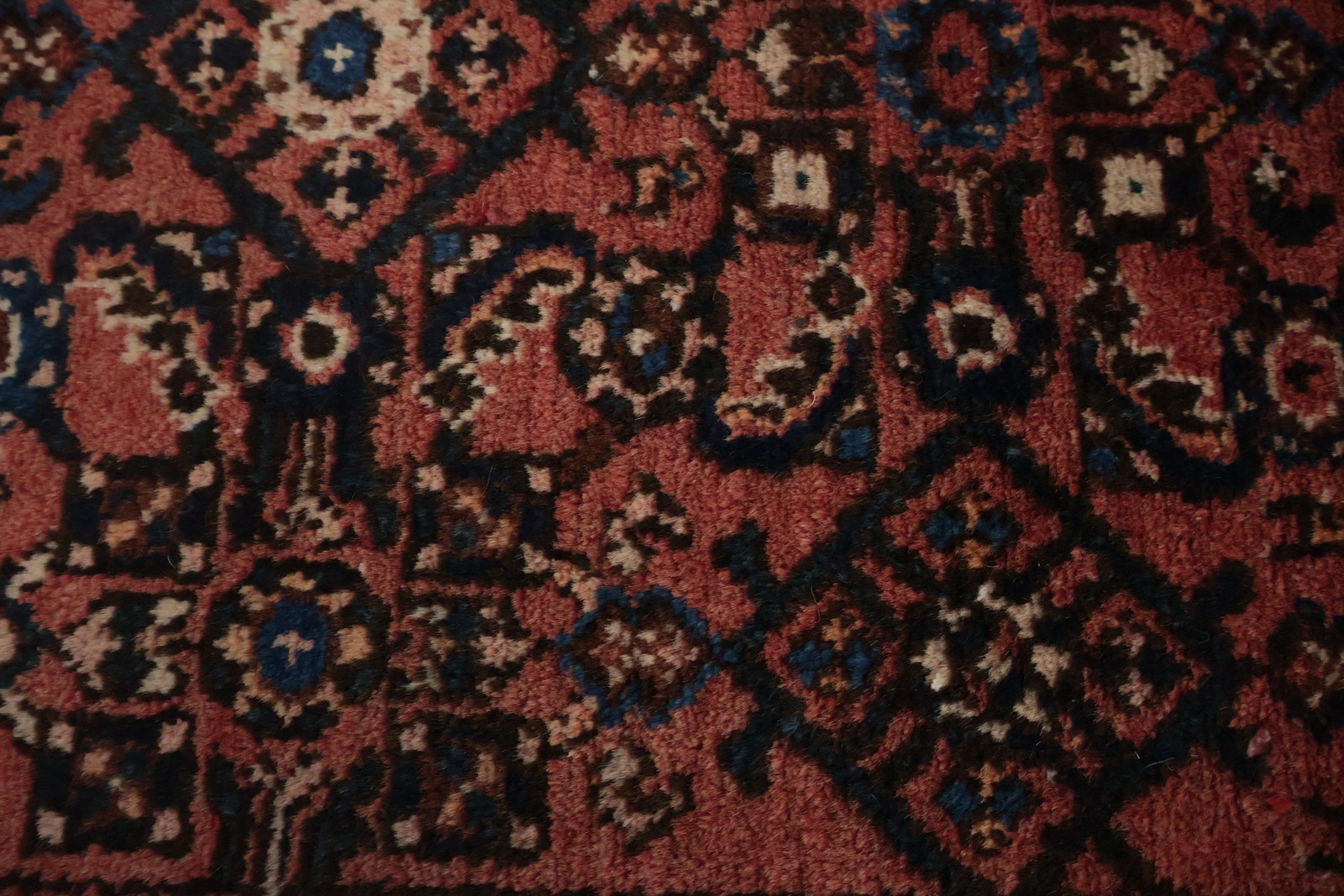 Elegant 10 ft Narrow Runner Rug 3×10 Rich Ornamental Design Handmade Wool Carpet