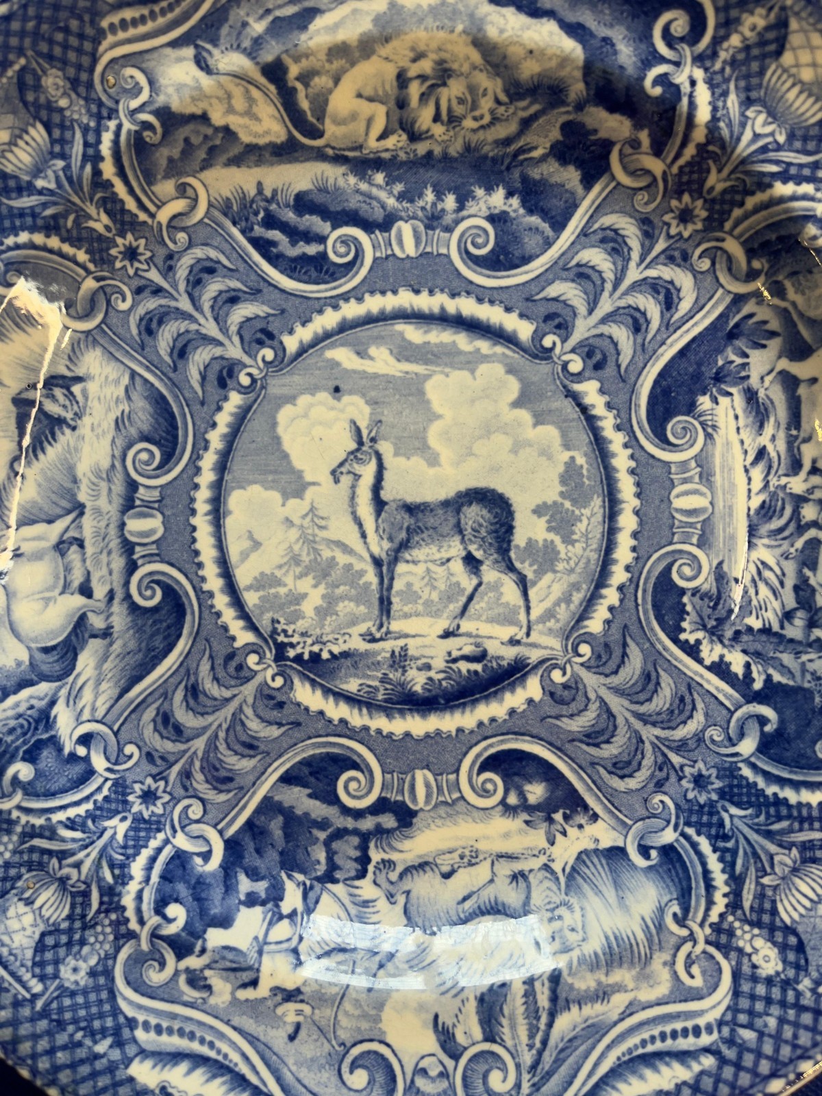 Rare Pair of Plates from the Quadrupeds Series by John Hall, Staffordshire, 1852