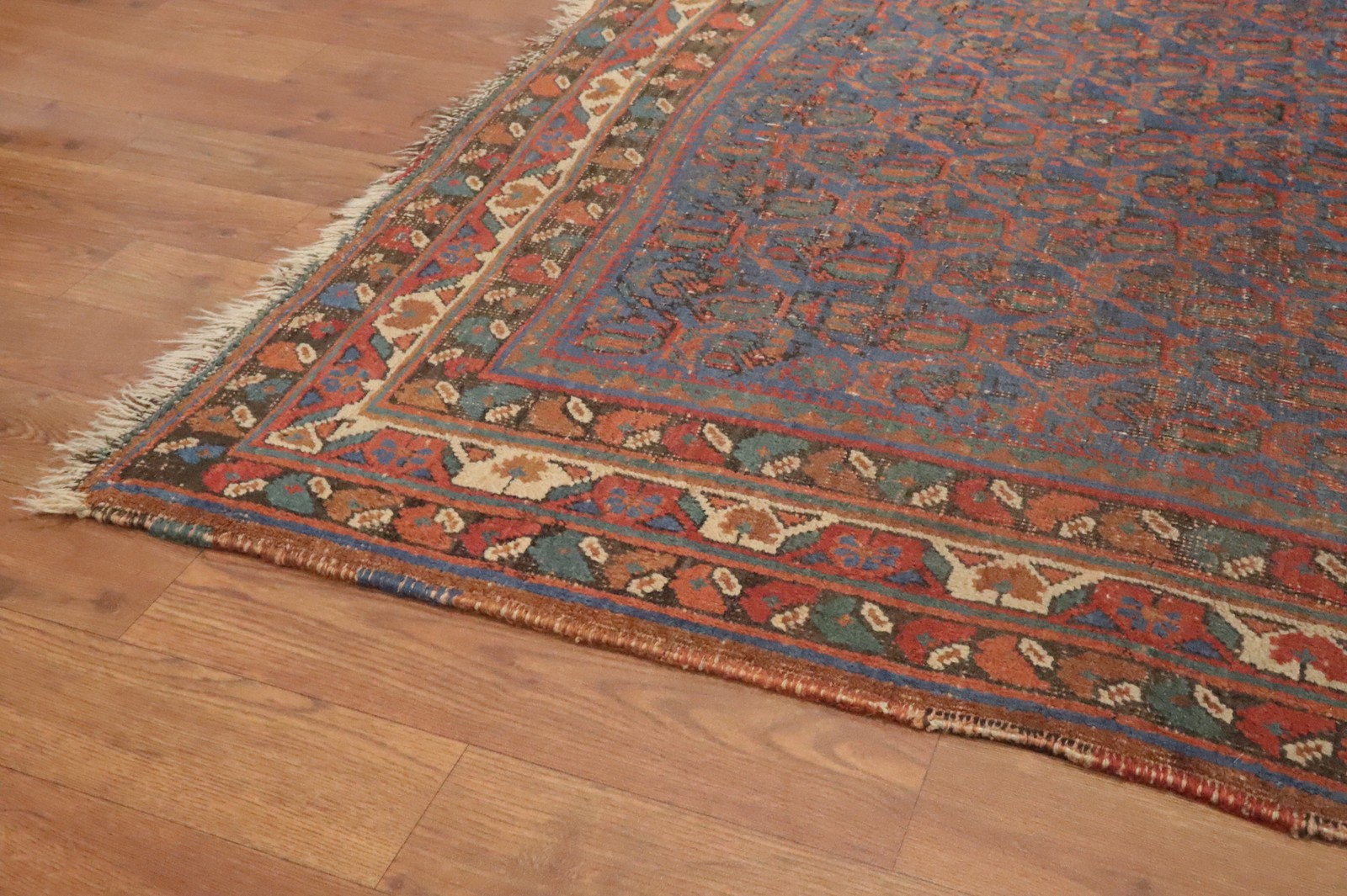 Pre-1900 Antique Vegetable Dye All-Over Pattern Rug 4×6 ft Hand-knotted Wool