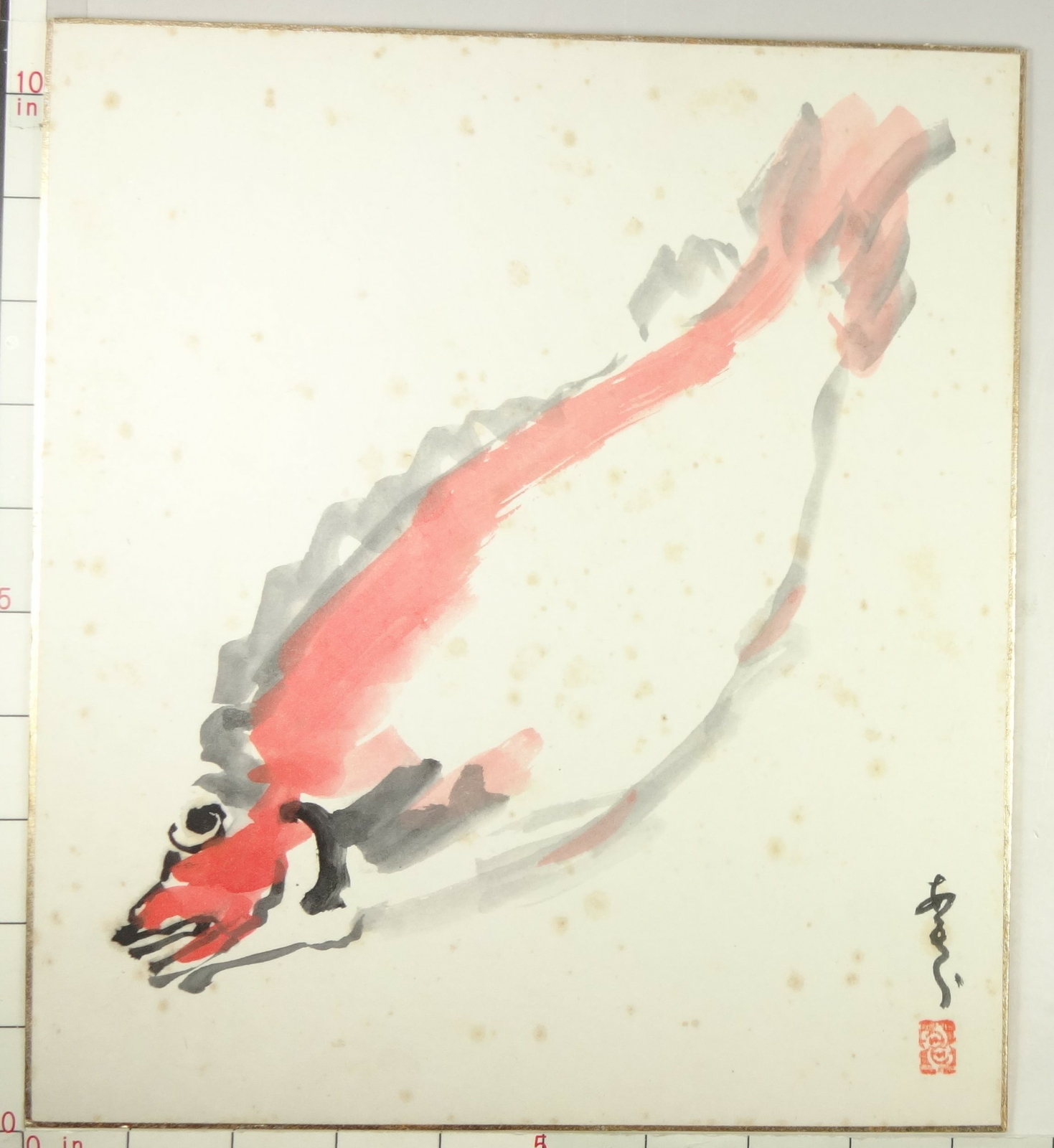 IS542 SHIKISHI Fish Animal Japanese Art Painting Nihonga Picture Geijyutu