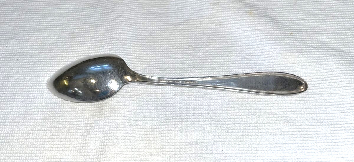 Oneida Community Par Plate Bridal Wreath Soup Spoon Silverplate Flatware Antique