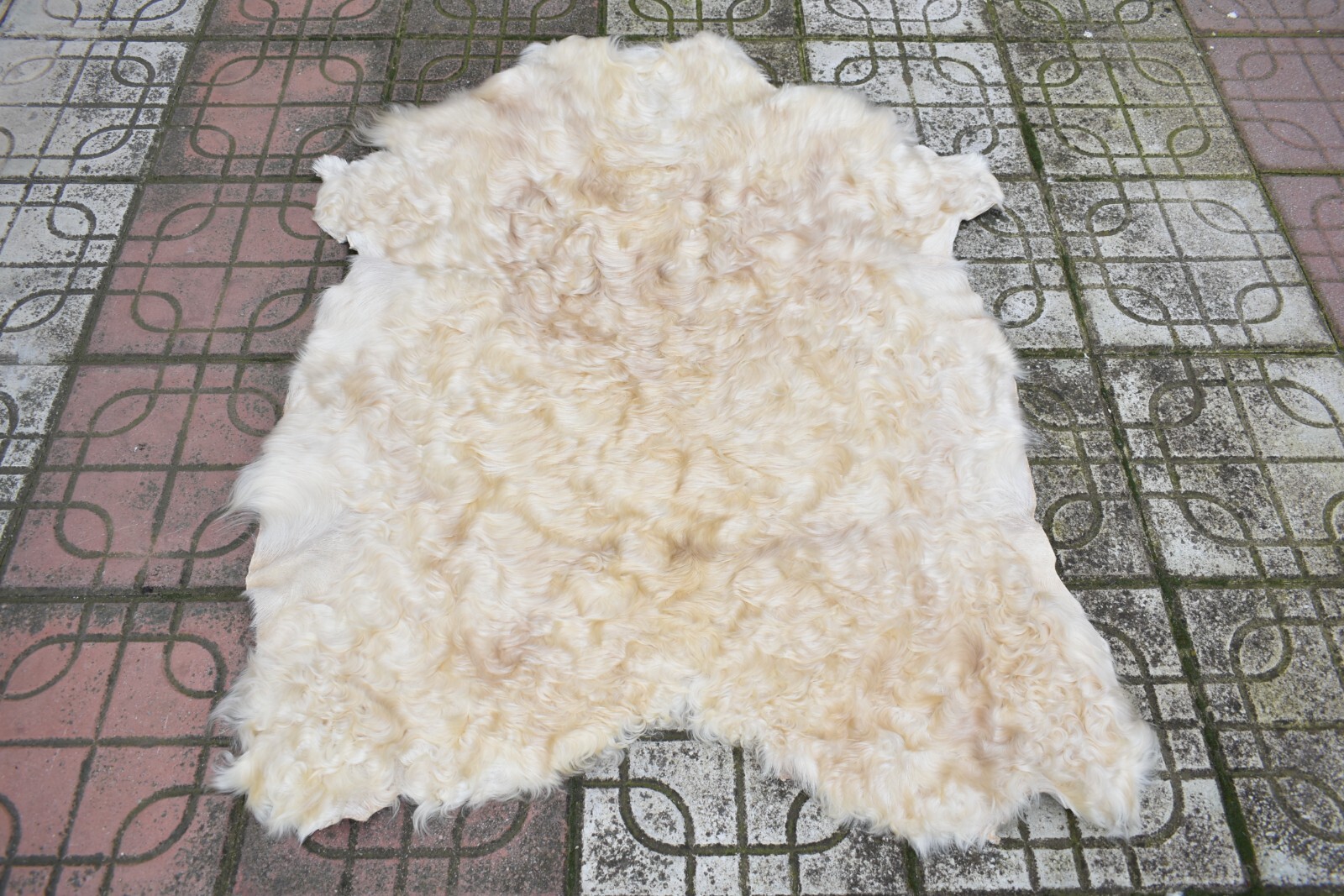 Angora Goat Leather Goatskin Fur 2 x 3 ft Pelt Hide 100% Natural Goat Skin Rug