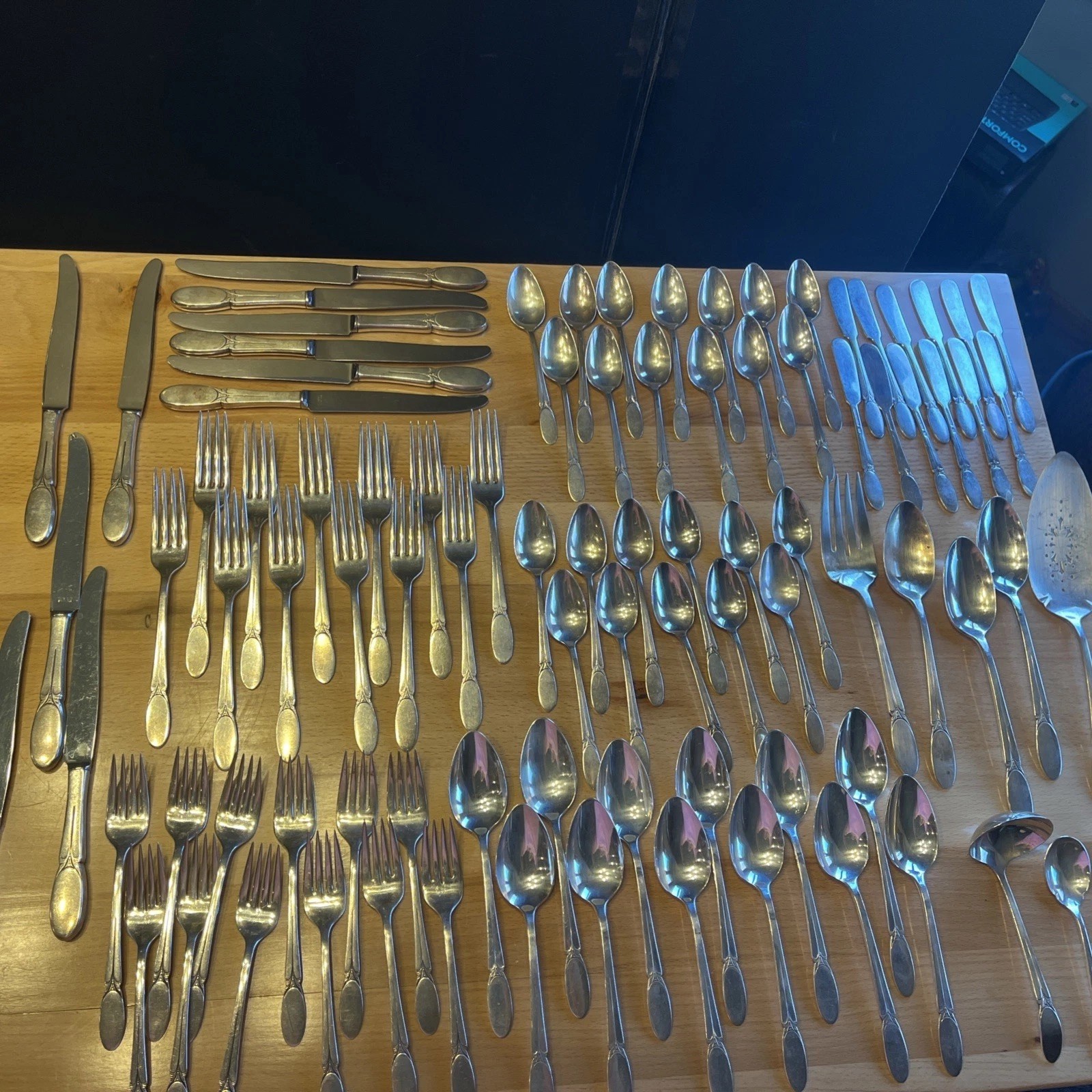 1847 Rogers Bros SYLVIA Silverware Flatware IS Set For 12 People 91 Pcs Vtg