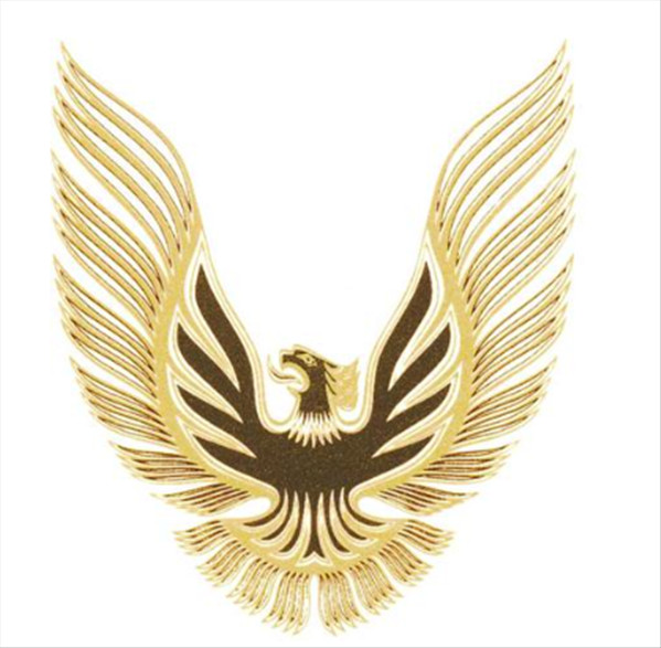 Late 1981 Trans Am Turbo Stipe Kit, Version 2. Light Gold / Darker Gold / Clear