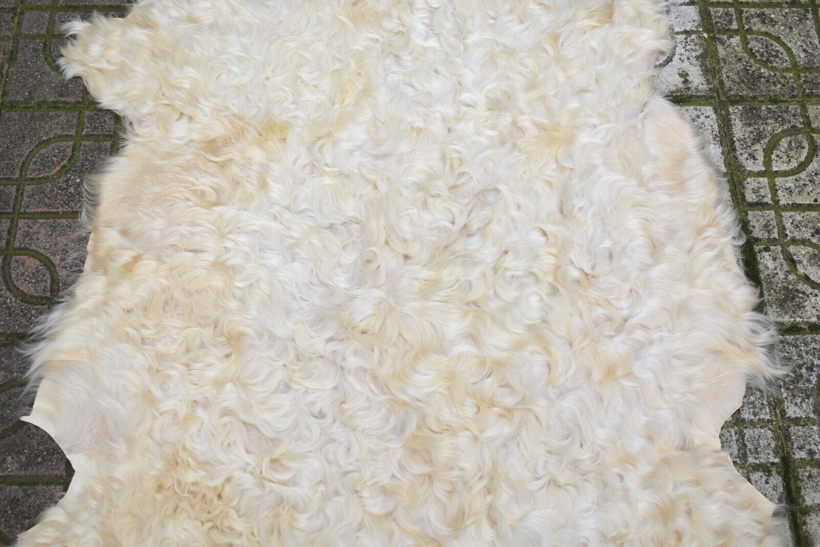 Angora Goat Leather Goatskin Fur 2 x 3 ft Pelt Hide 100% Natural Goat Skin Rug