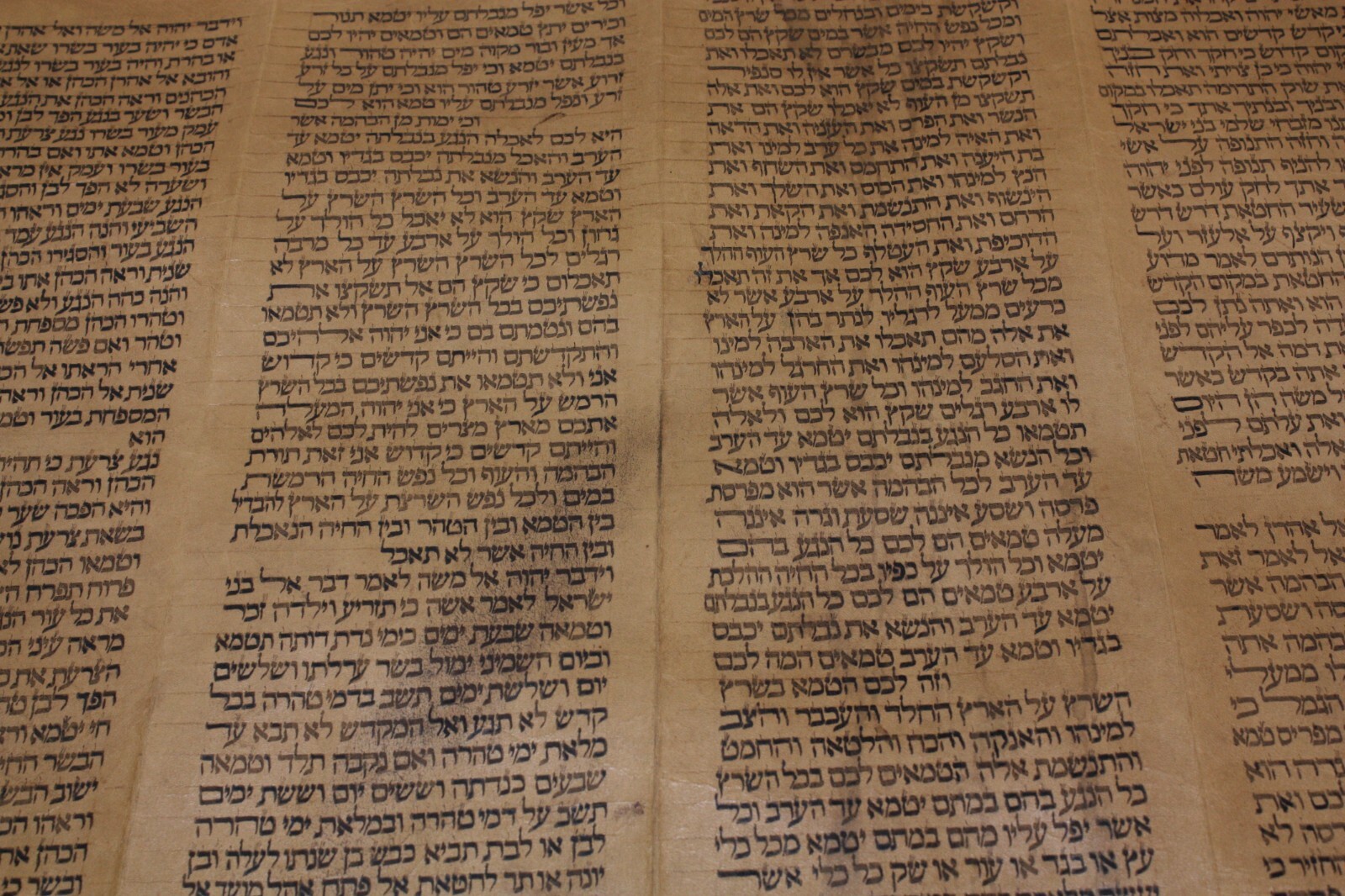 ANCIENT COMPLETE TORAH BIBLE MANUSCRIPT SCROLL DEER PARCHMENT 450 YRS ITALY