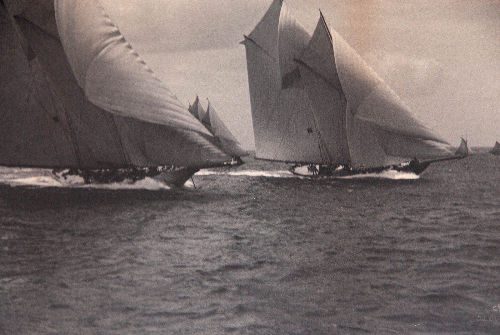 1898 Charles E. BOLLES 1847-1914 B&W Photograph, Sail Boats Racing America Cup ?