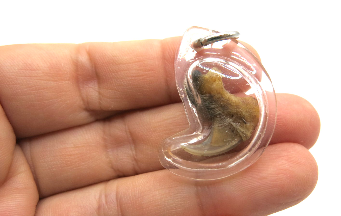 Vintage Thai Amulet Authentic Claw Pendant Protection Charm Lep Seur Tiger