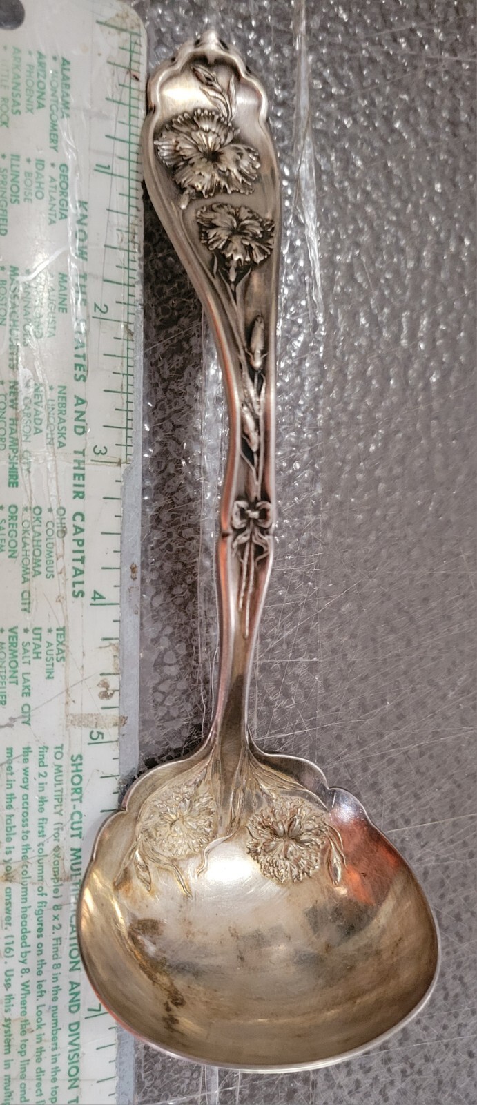 William Rogers Carnation 6-7/8″ Cream Gravy Ladle WR Keystone Pat Jan 14 88?