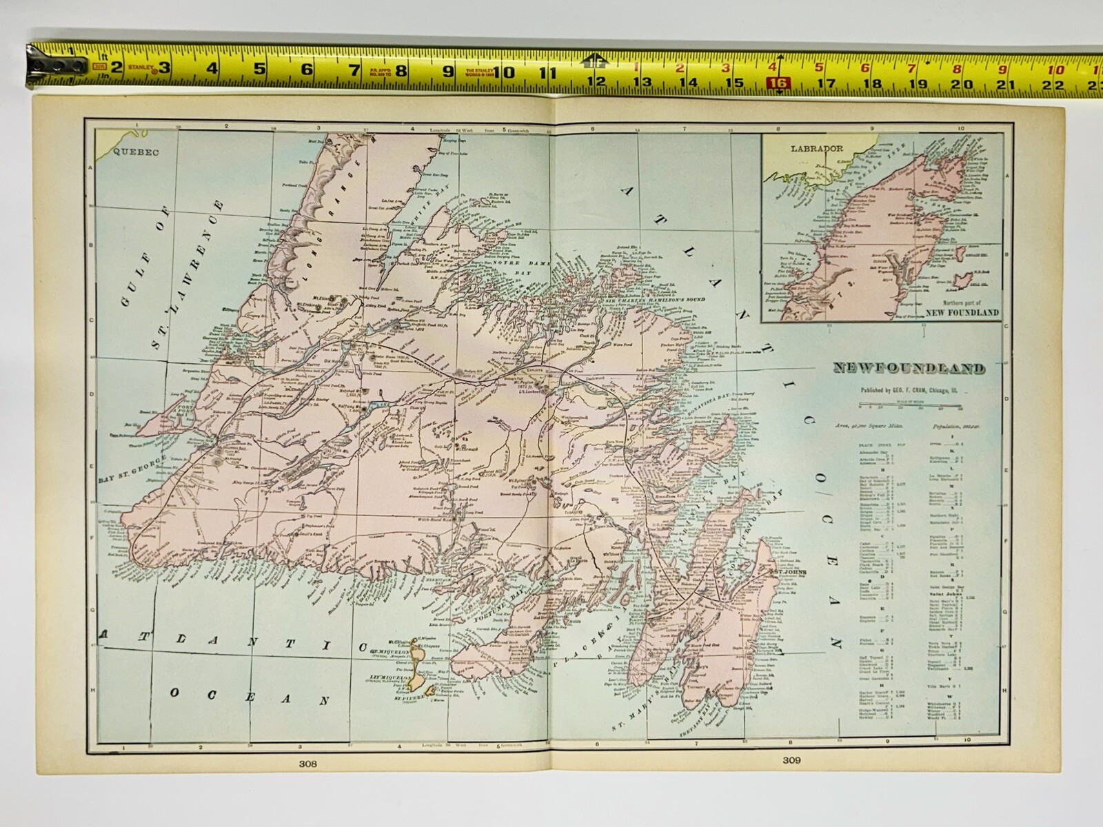 Antique Newfoundland Canada Map 1901 St Johns Mount Pearl Original 14” X 22”