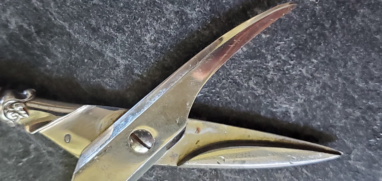 REED & BARTON STERLING SILVER Handled GRAPE SHEARS SCISSORS 6 1/2” ZTRAY