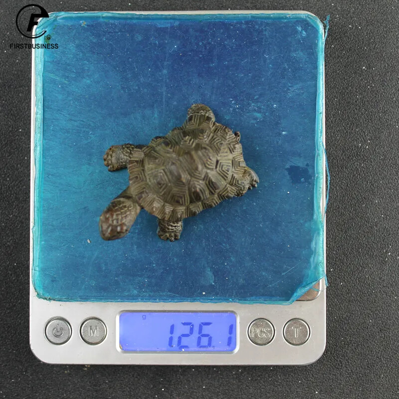 Antique Solid Copper Turtle Ornament Trumpet Longevity Animal Sculpture Ornament