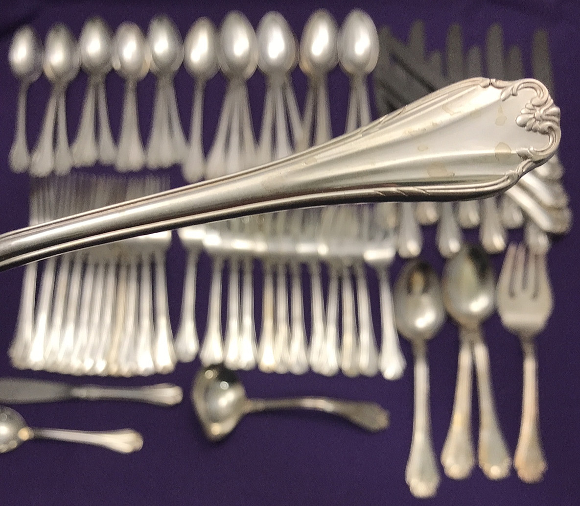 67 Pc COUNTRY CHARM Silverplated Service for 12 & SERVING PCS by Reed & Barton