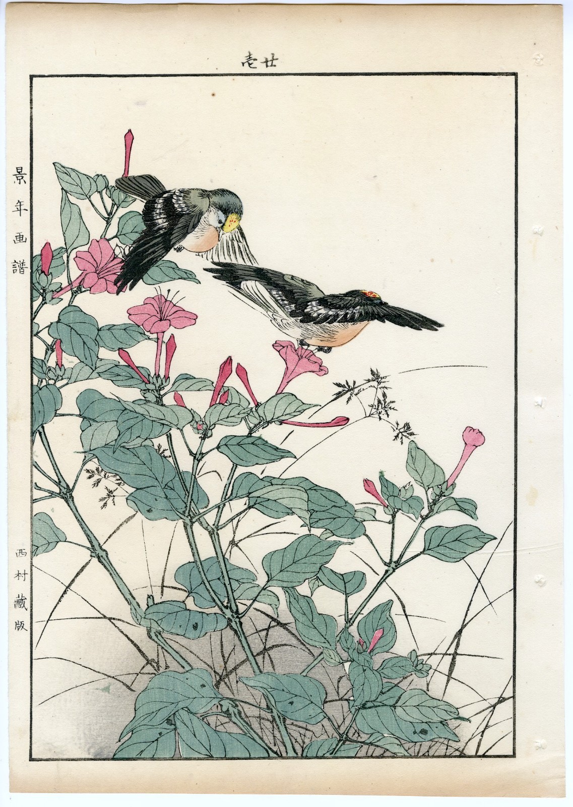 Imao Keinen Antique Japanese Woodblock Print – Chestnut-Eared Bunting