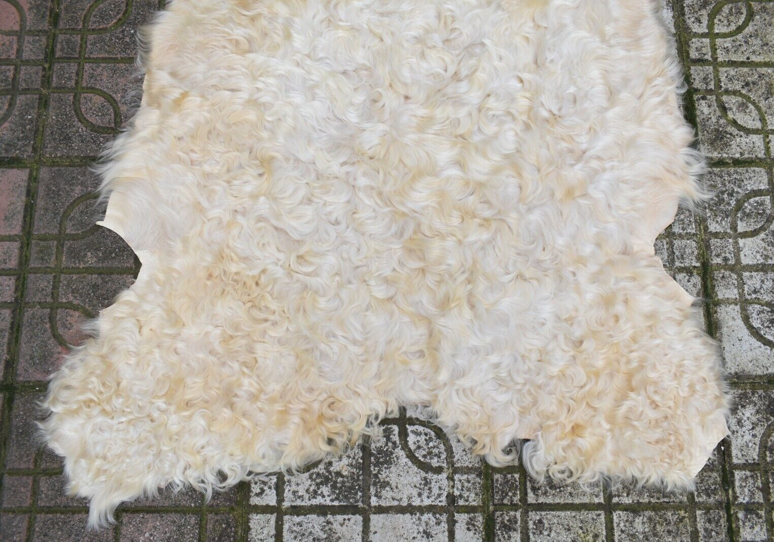 Angora Goat Leather Goatskin Fur 2 x 3 ft Pelt Hide 100% Natural Goat Skin Rug
