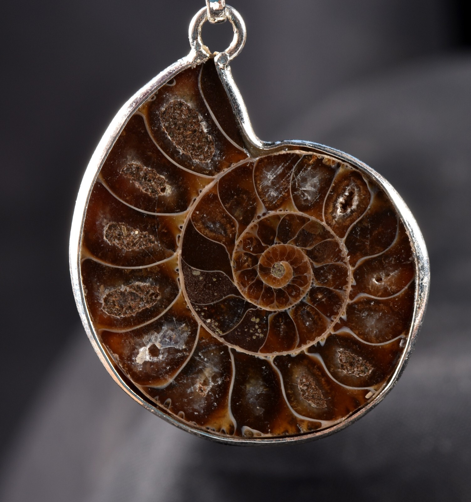 Ammonite pendant Emotional balance and stability Protection #7542