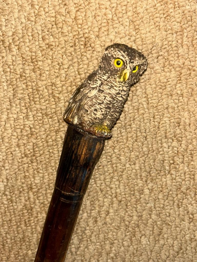 Vintage Rustic Walking Stick Cane – Intricate Resin Owl Top – Glass Eyes