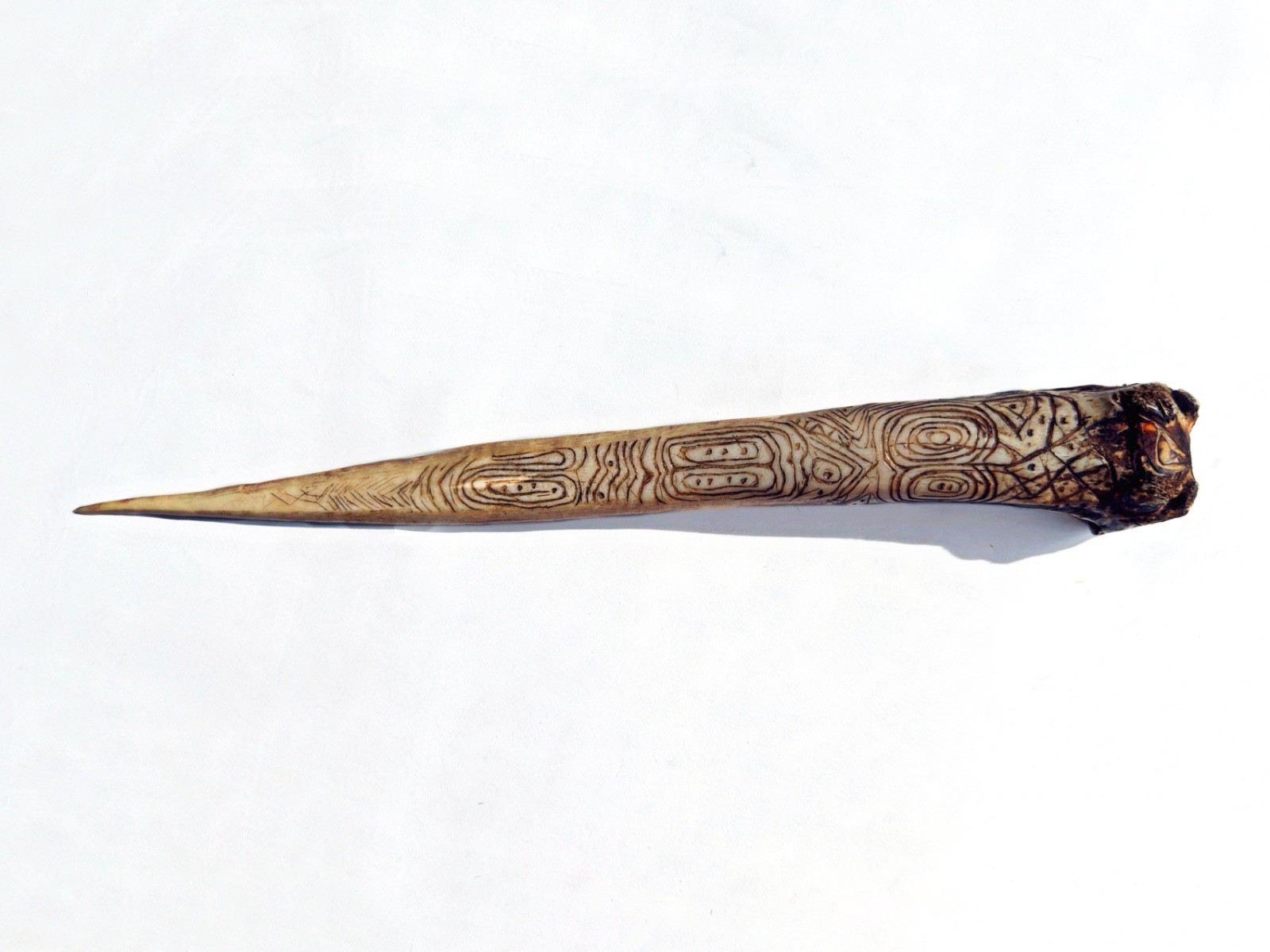 Antique Papua New Guinea Cassowary Asmat Bone Dagger / Nimbus Tribal Artifact
