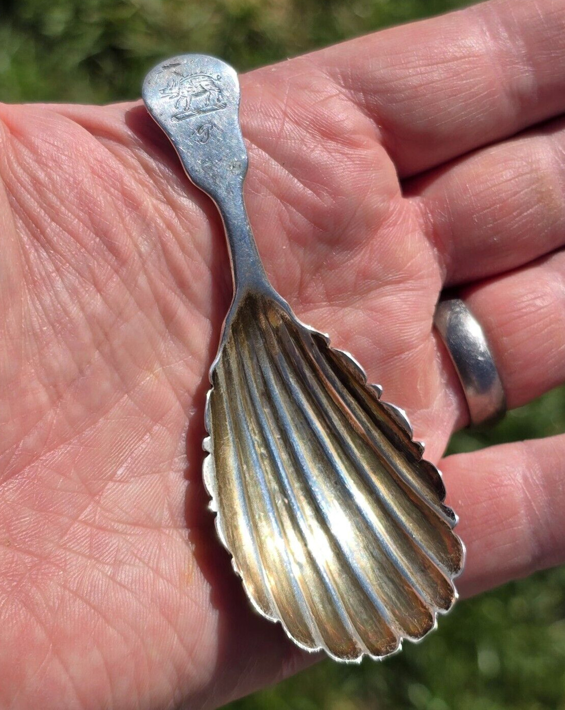 Antique Solid Silver Irish Tea Caddy Spoon Georgian Dublin 1812 Richard Sawyer