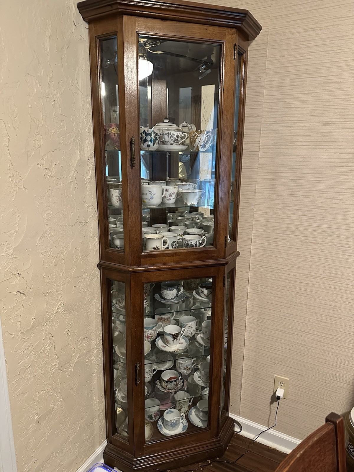 Incredible Antique Mustache Cup Collection With Display Cases