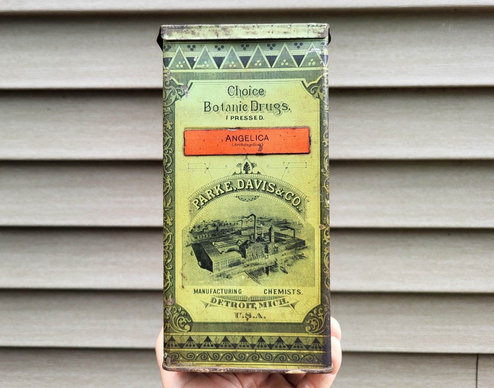 Parke Davis Apothecary Tin Pharmacy ANGELICA Botanic Drugs Pressed Herbs