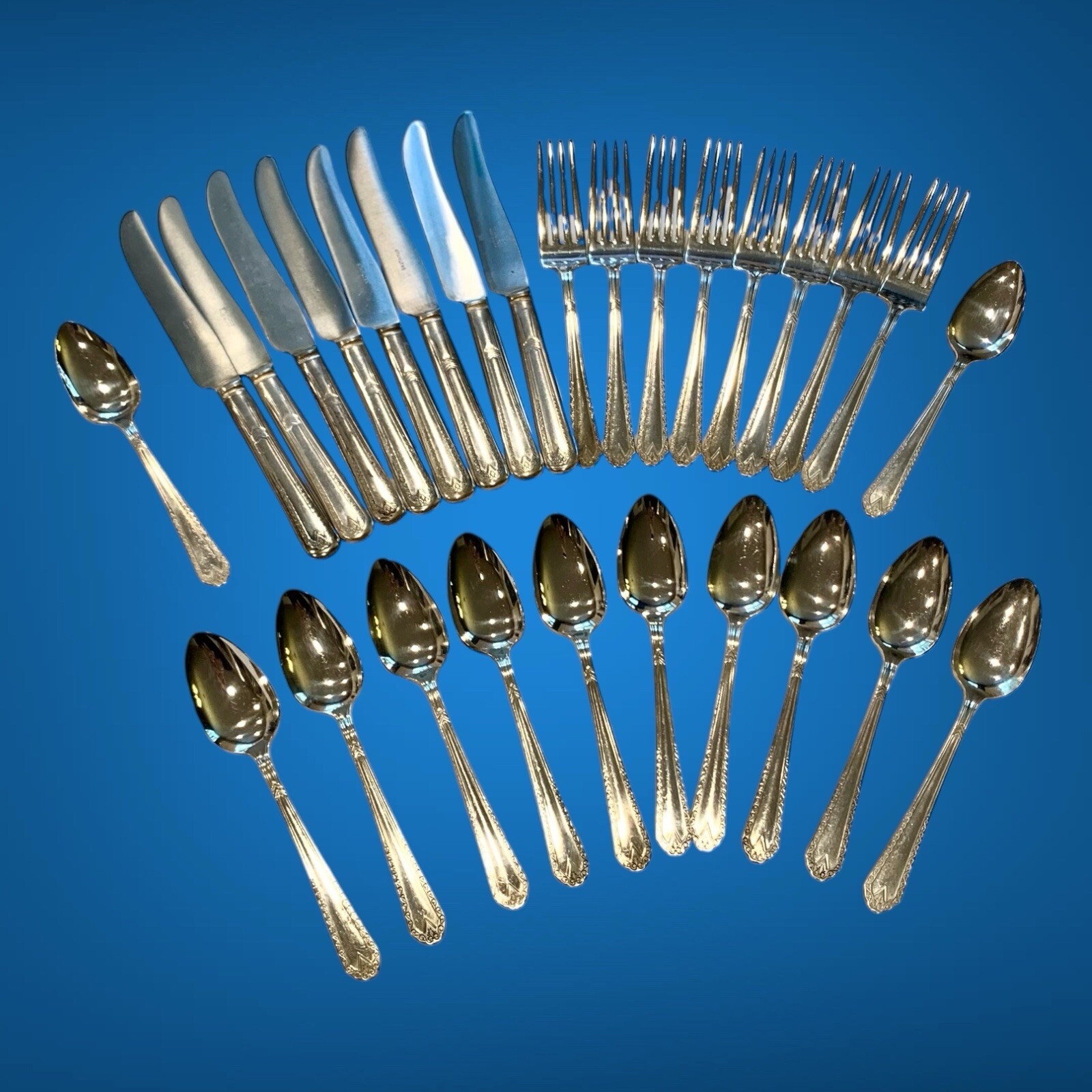 28 Piece National Silver Co NSC EPNS Silverplate Vintage Twelve Pattern