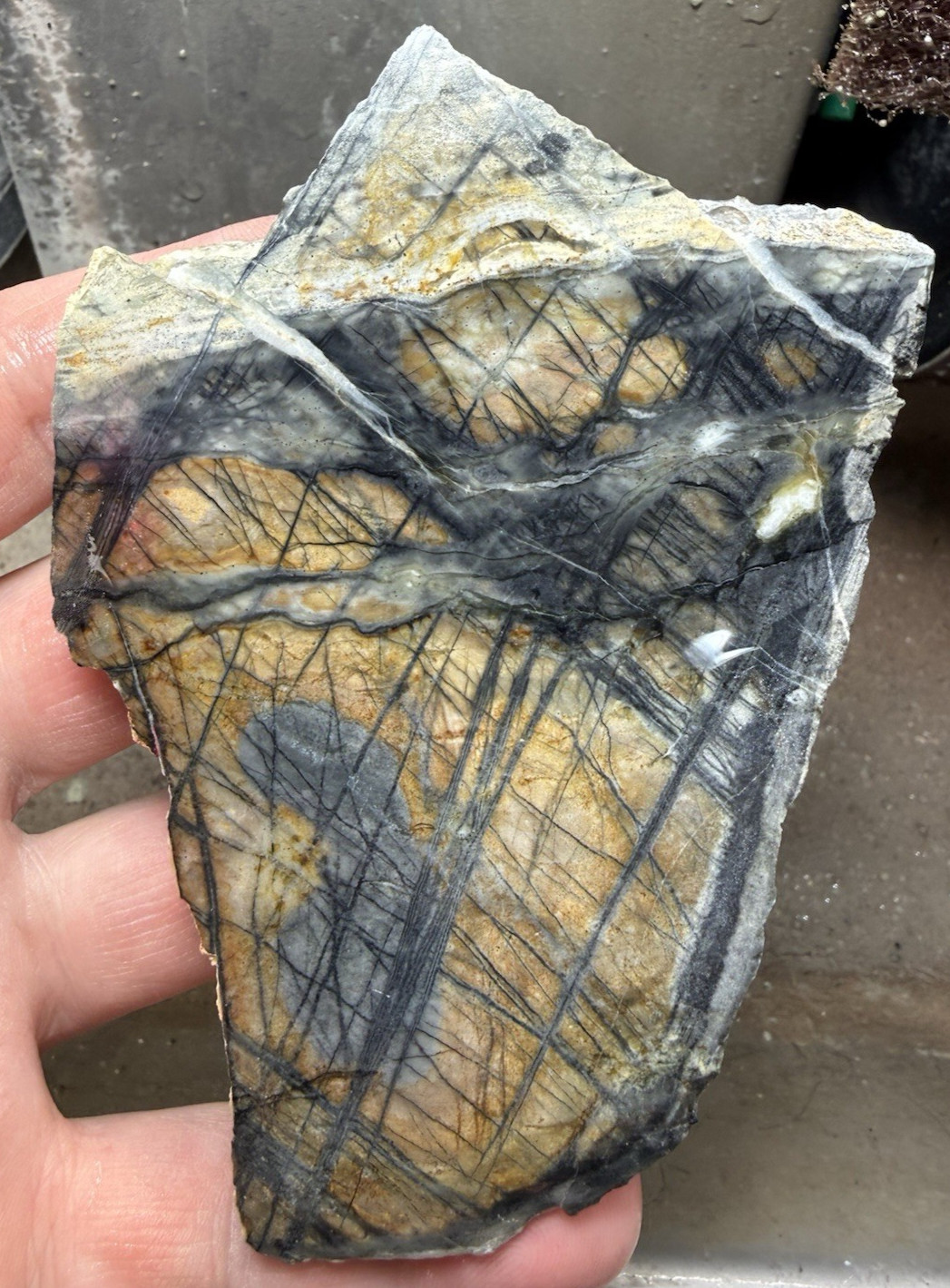 Utah Picasso marble/jasper rough slab lapidary