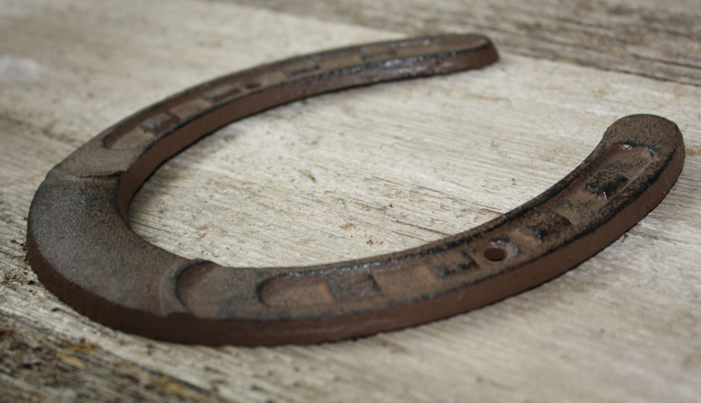 Cast Iron Lucky Horseshoe Rustic Ranch Western Home Decor 5 1/2 x 6.5 in TEXAS
