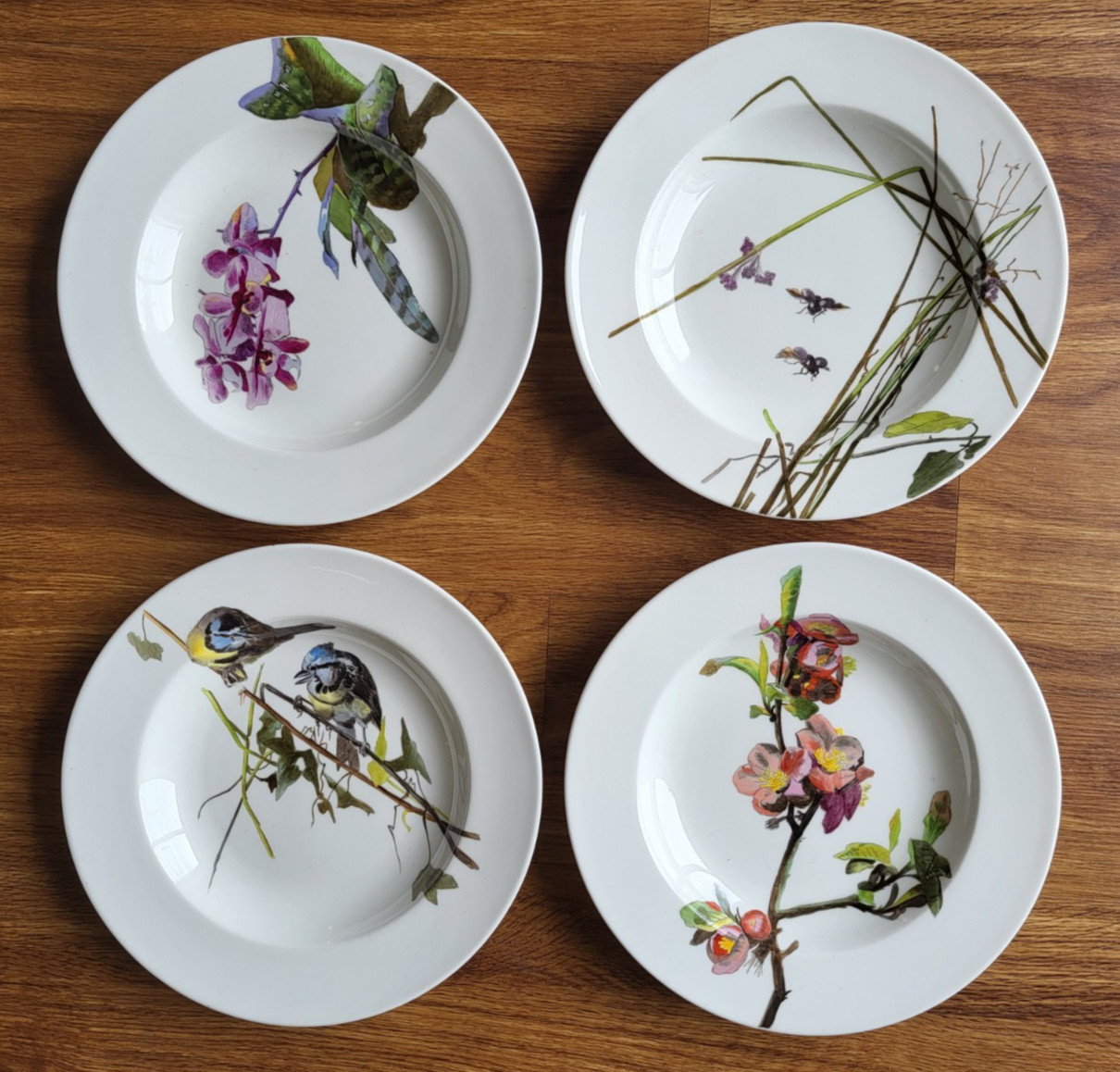 AWESOME SET OF FOUR ANTIQUE CAULDON – BIRDS INSECTS FOILAGE DESIGN DESSERT BOWLS