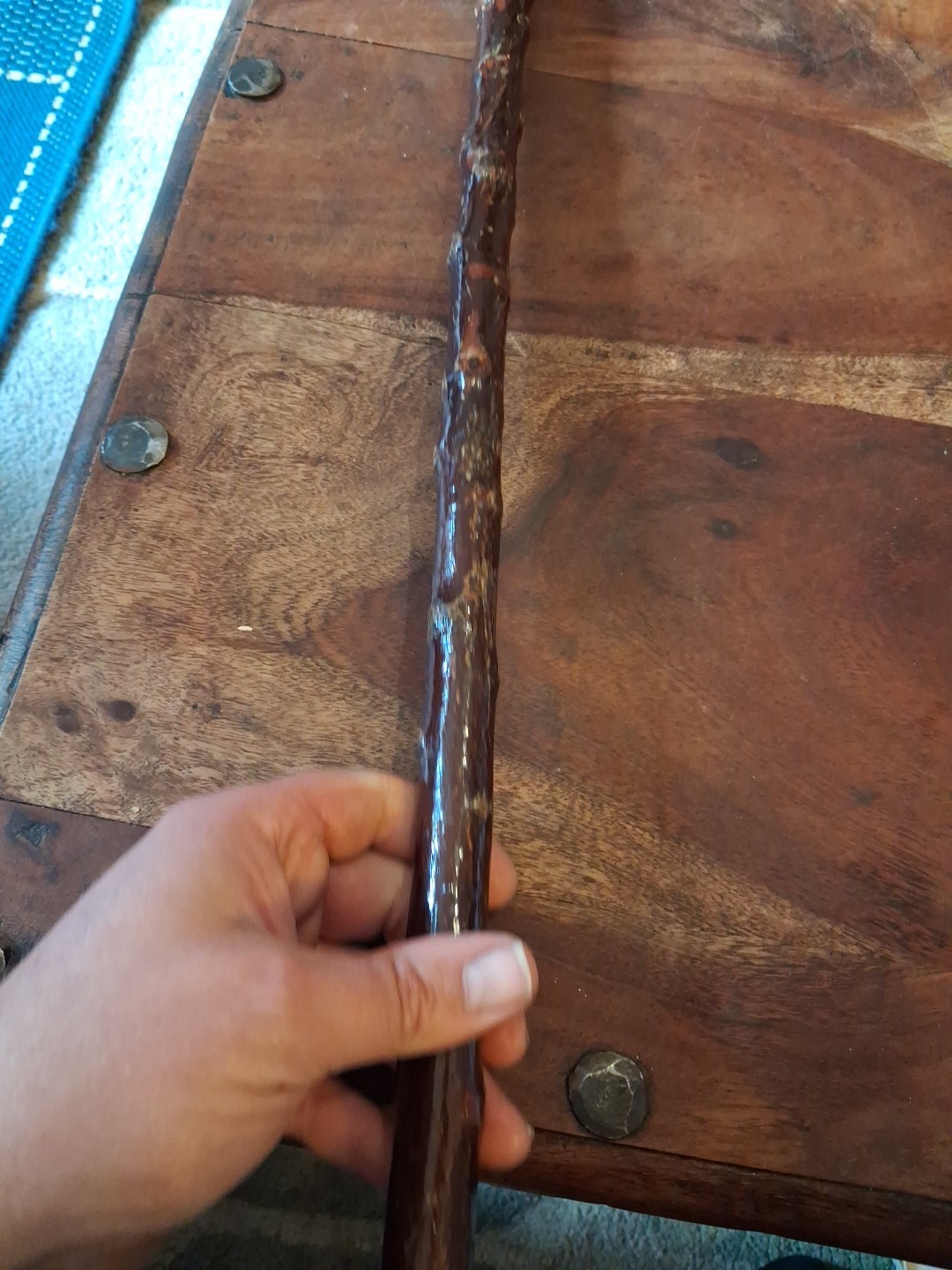 Rams Horn Shepherds Crook, 117cm