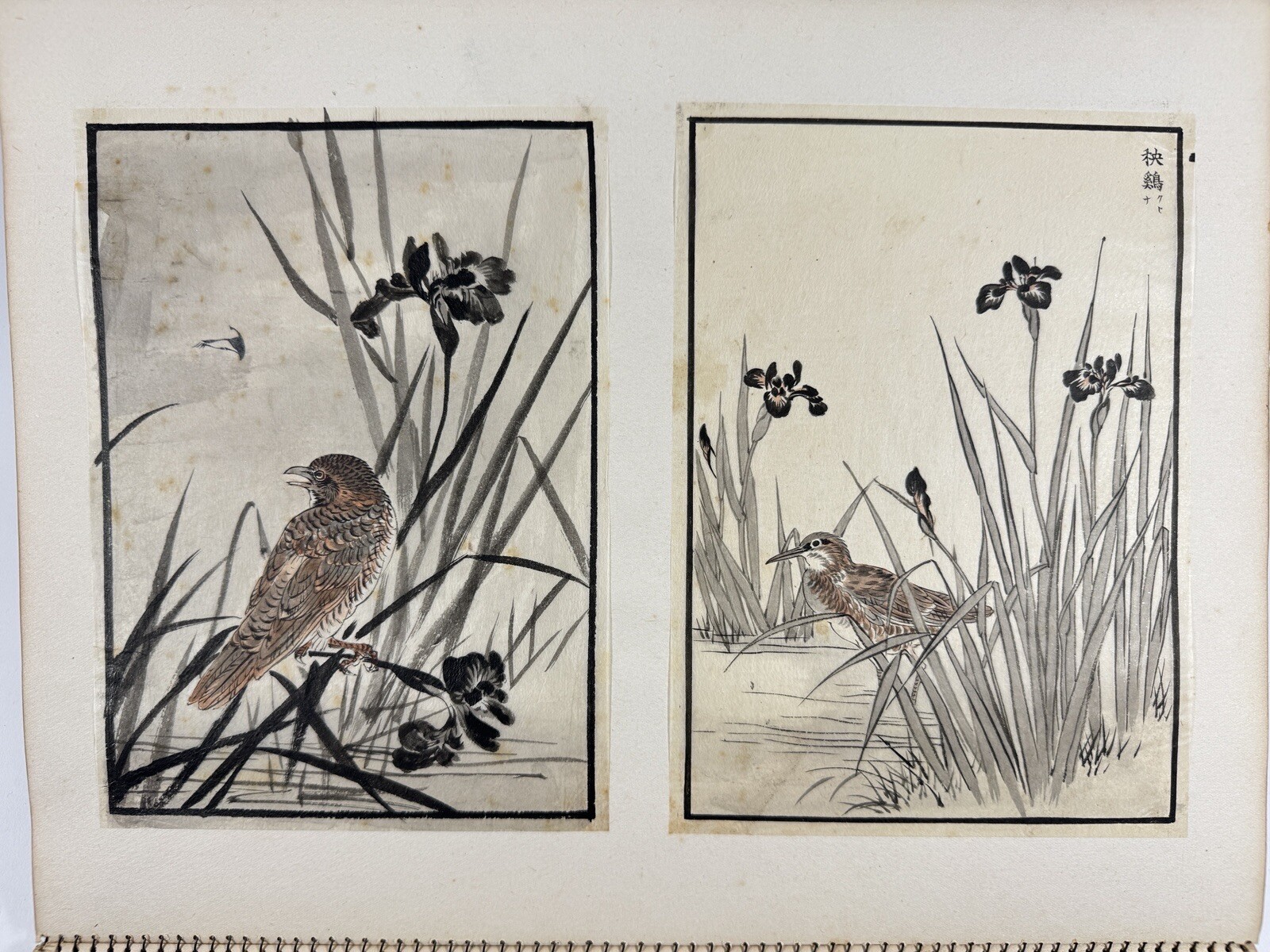 Japanese Drawing Book “Kachoshu” Picture of birds and flowers 49 illustration