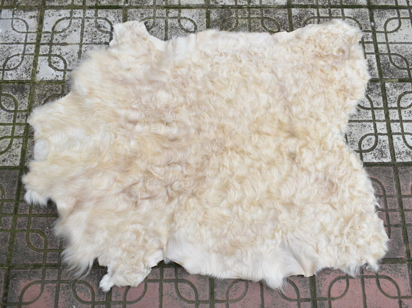 Angora Goat Leather Goatskin Fur 2 x 3 ft Pelt Hide 100% Natural Goat Skin Rug