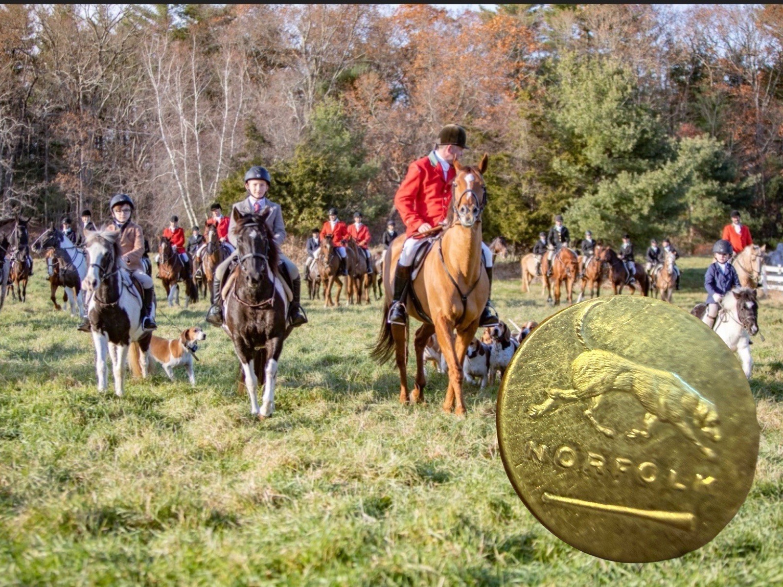 NORFOLK HUNT CLUB BUTTON Dover MA gold plated 7/8” FREE SHIPPING